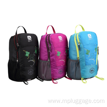 Leisure Outdoor Sports Mountaineering Backpack Customization